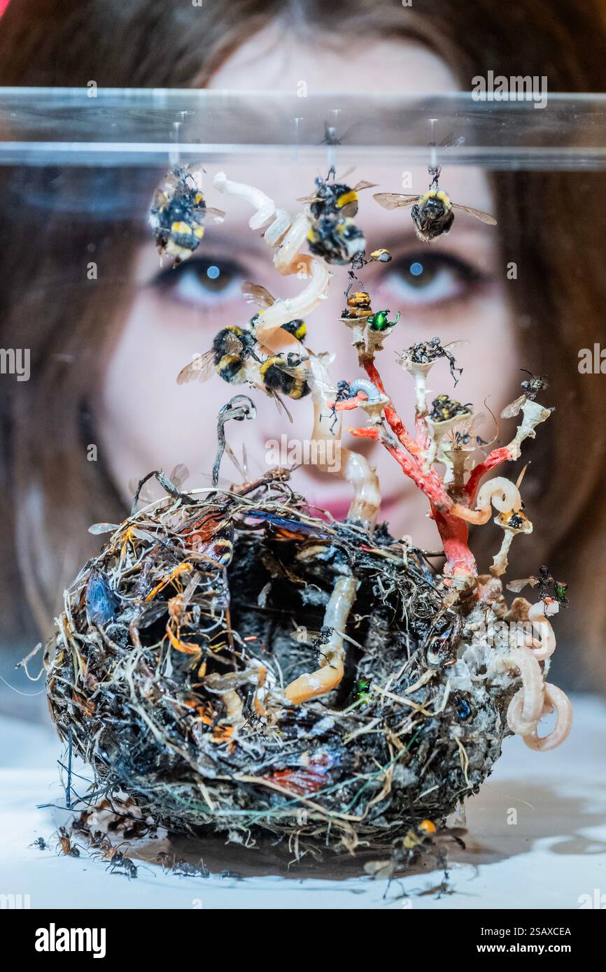 Londra, Regno Unito. 31 gennaio 2025. Tessa Farmer, FAIRIES IN A BIRD'S NEST (AFTER JOHN ANSTER FITZGERALD), 2024, Bird's Nest, Wasp Nest, wormshell, corallo, ossa di topo e toscaglie, spine di riccio, insetti, piume, plastica, carta, radici vegetali, £ 5.000,00 - Cure3 a Bonhams, Londra. Una mostra di vendita con opere originali commissionate da 117 artisti di spicco in corso dall'1 al 5 febbraio. Questa è la quinta edizione del progetto di raccolta fondi e la sua più grande fino ad oggi. Dalla prima edizione nel 2017 Cure3 è stato supportato da oltre 214 artisti e ha raccolto quasi 2 milioni di sterline per la ricerca curativa su Parkinso Foto Stock