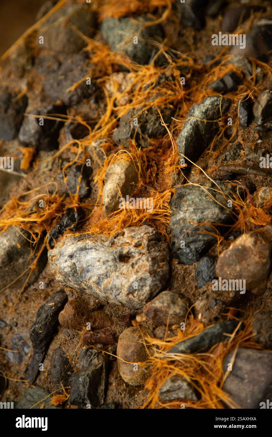 Tradizionale mulino in pietra per frantumare il maguey per la produzione di Mezcal a Oaxaca in Messico. Foto Stock