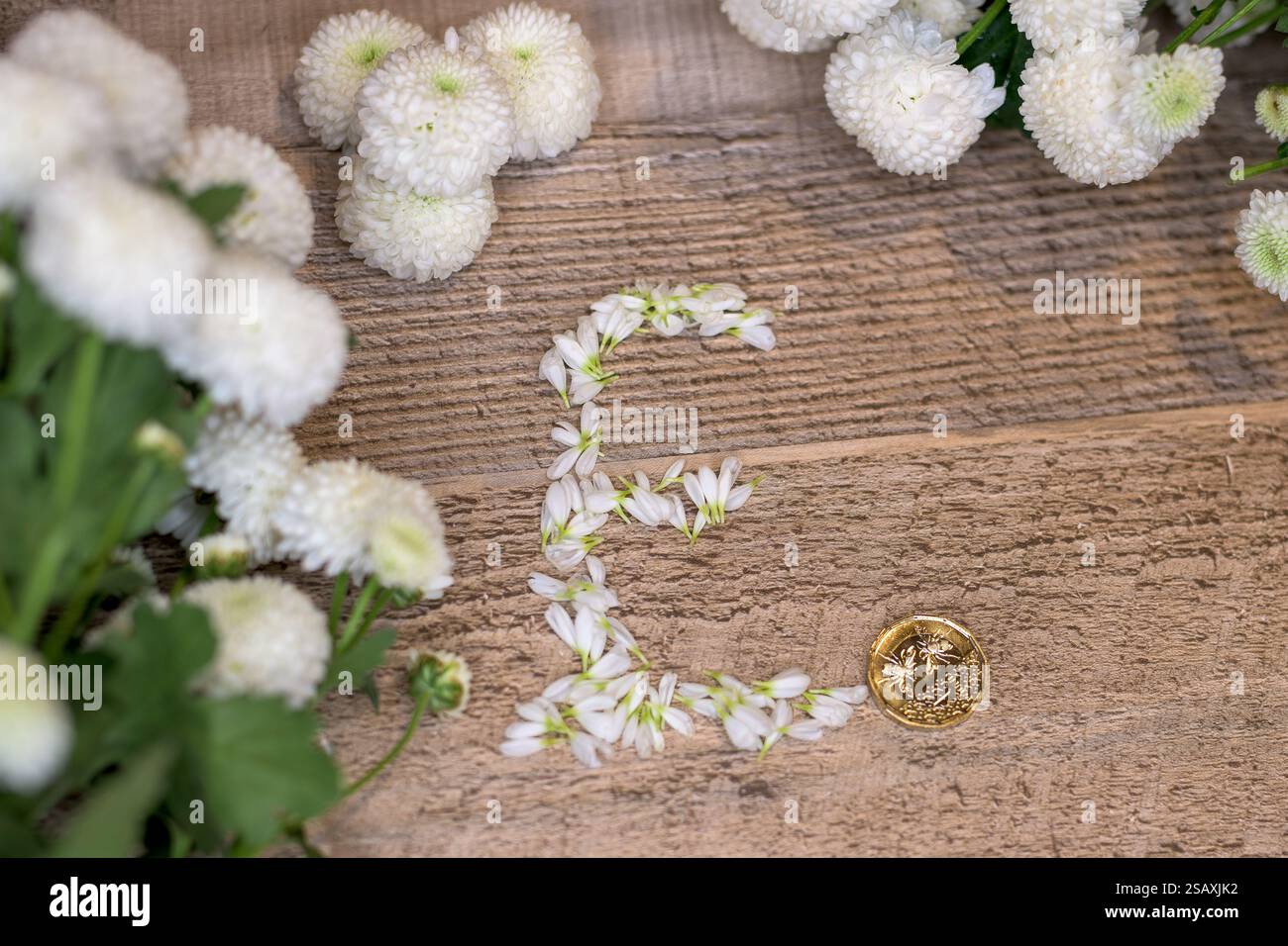 Fiori di crisantemo bianchi disposti a forma di simbolo della sterlina £ accanto a moneta da una sterlina d'oro posta su una superficie rustica in legno, sterlina, finanza Foto Stock