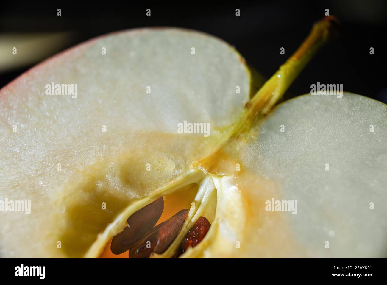 Questa immagine mostra la sezione trasversale di una mela matura, rivelando la carne bianca, il nucleo e i semi su uno sfondo scuro. Foto Stock