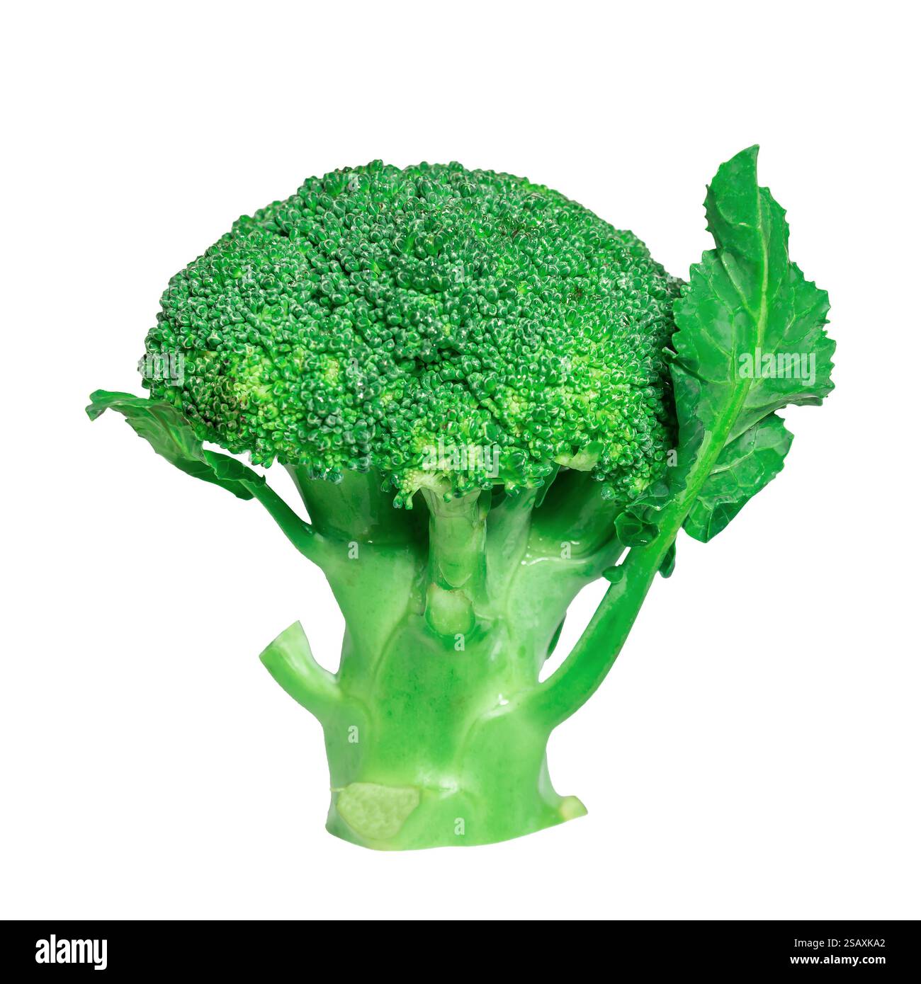 Broccoli verdi brillanti con uno stelo spesso e verdi a foglia, perfetti per aggiungere nutrizione a vari piatti e migliorare la presentazione dei pasti. Foto Stock