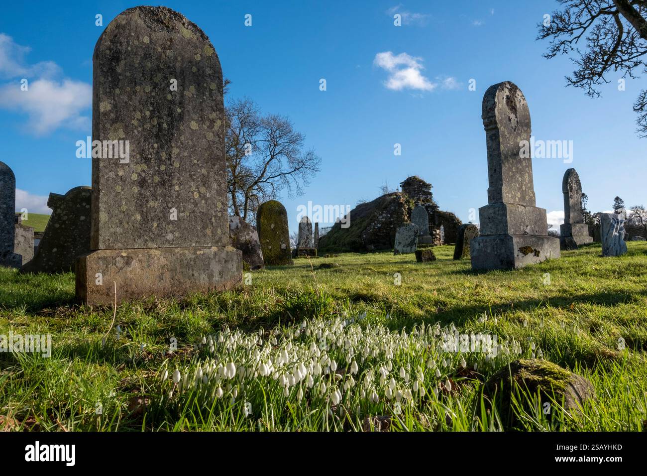 Lapidi a Old Kilmadock (St Aedh's) Church and Burial Ground, Buchany, Scozia. Foto Stock