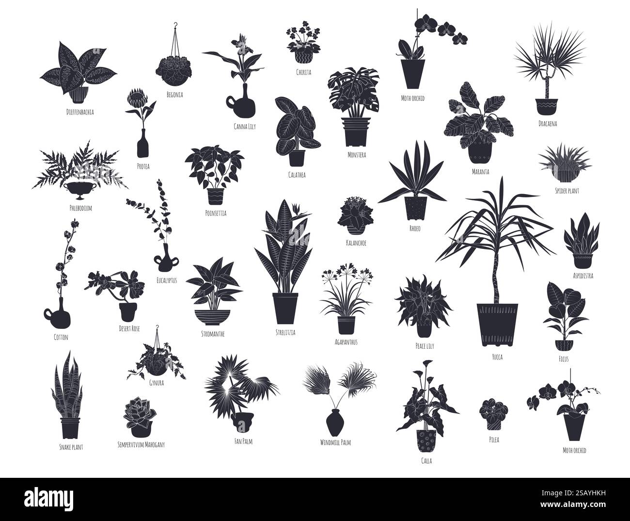 Set di silhouette nere di piante d'appartamento in vaso isolate su sfondo bianco Illustrazione Vettoriale