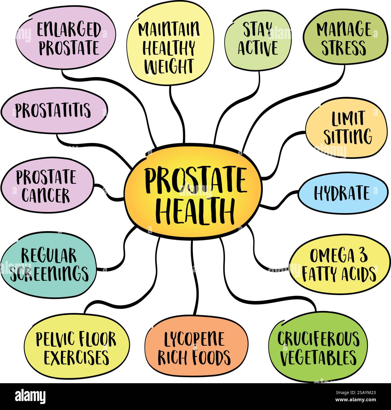 salute della prostata, argomento importante, in particolare per gli uomini con l'età, mappa mentale infografica schizzo Illustrazione Vettoriale
