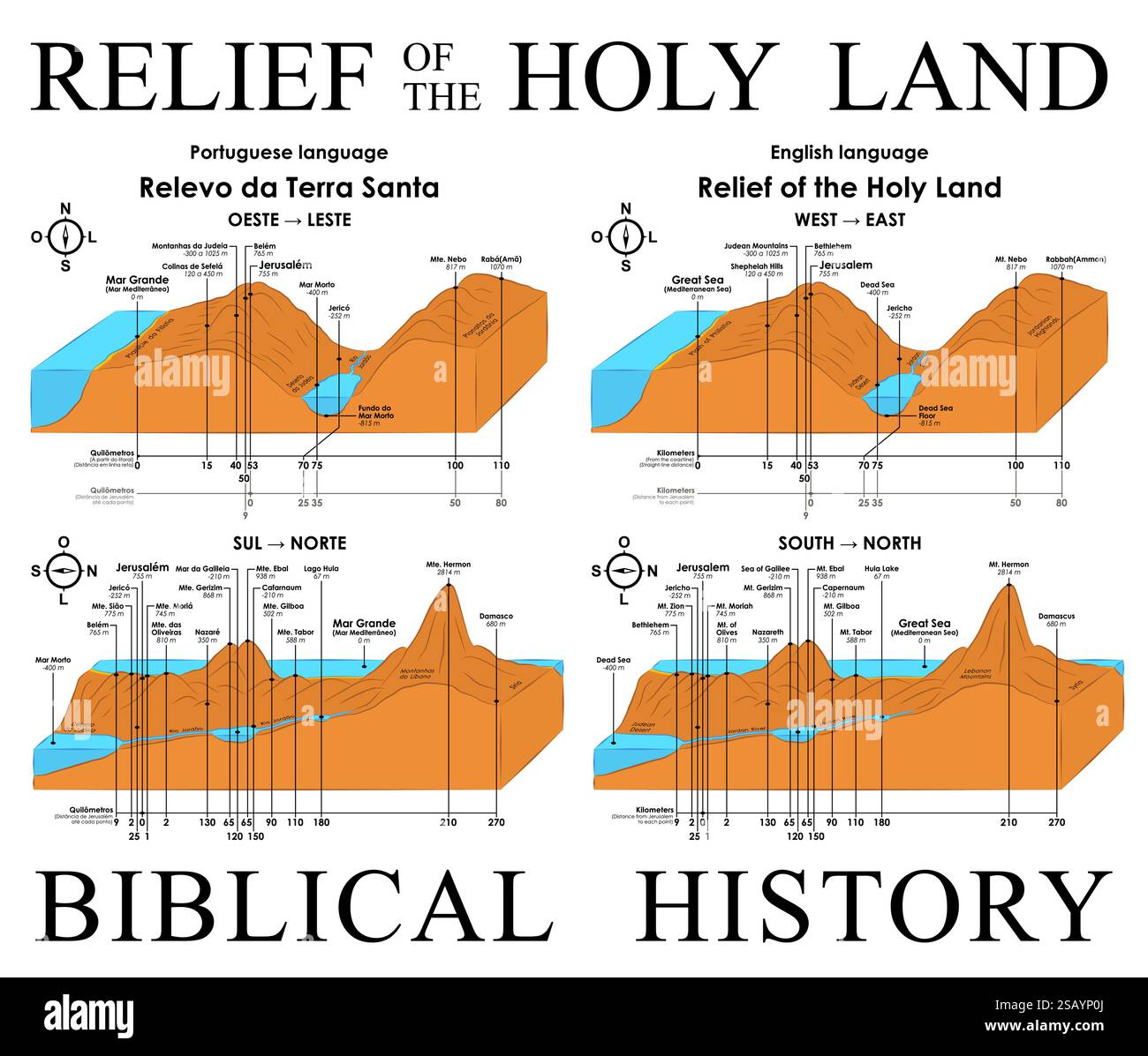 Sollievo di Terra Santa, storia biblica Illustrazione Vettoriale