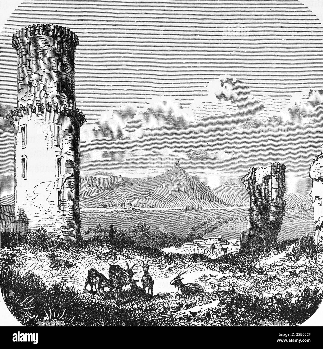 Bad Godesberg, rovine del castello di Godesberg con il Siebengebirge, torre rotonda, bassa catena montuosa, capre, viaggio, Renania settentrionale-Vestfalia, Germania, storico Foto Stock