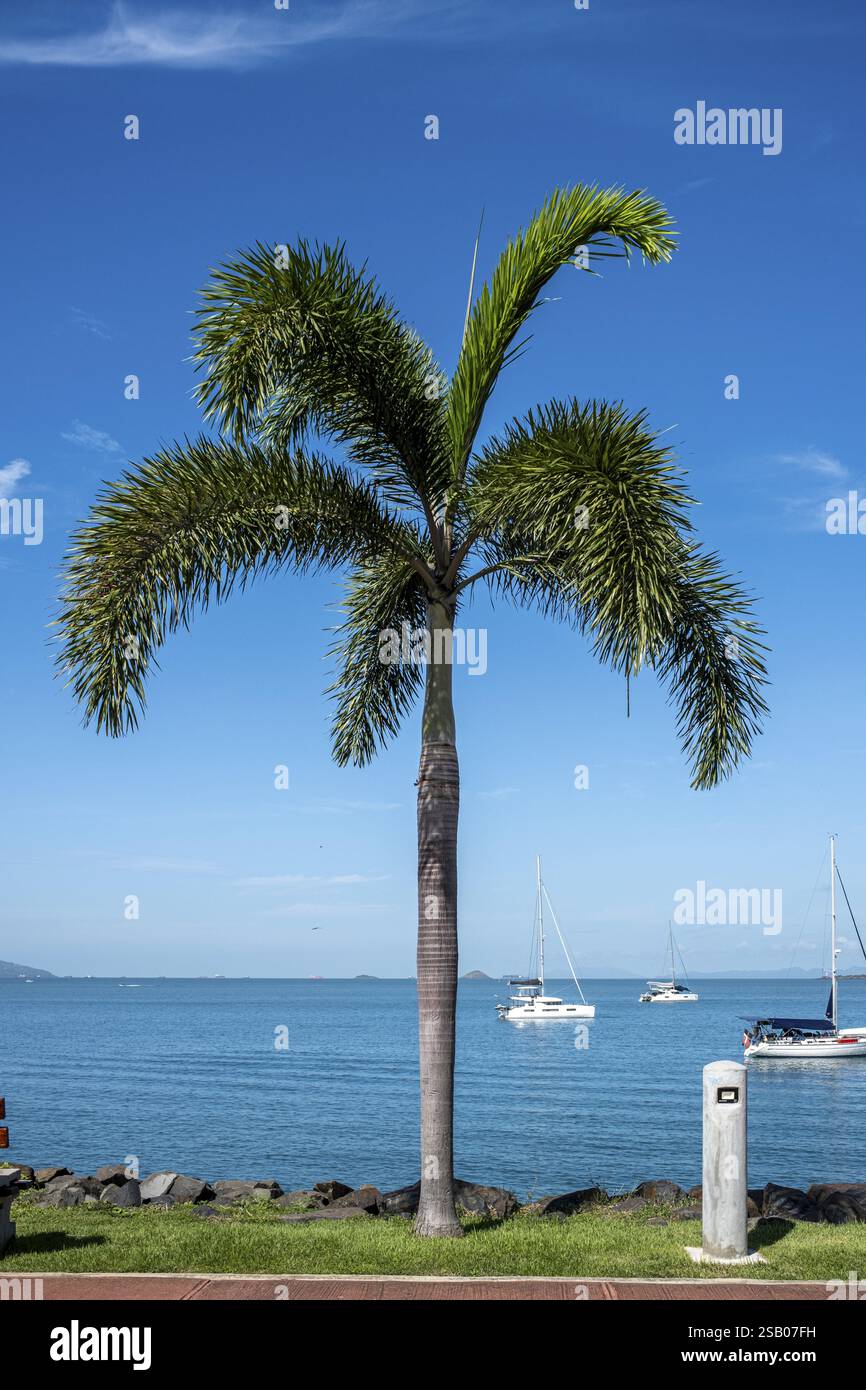Amador Causeway, Panama City, Panama America Centrale Foto Stock