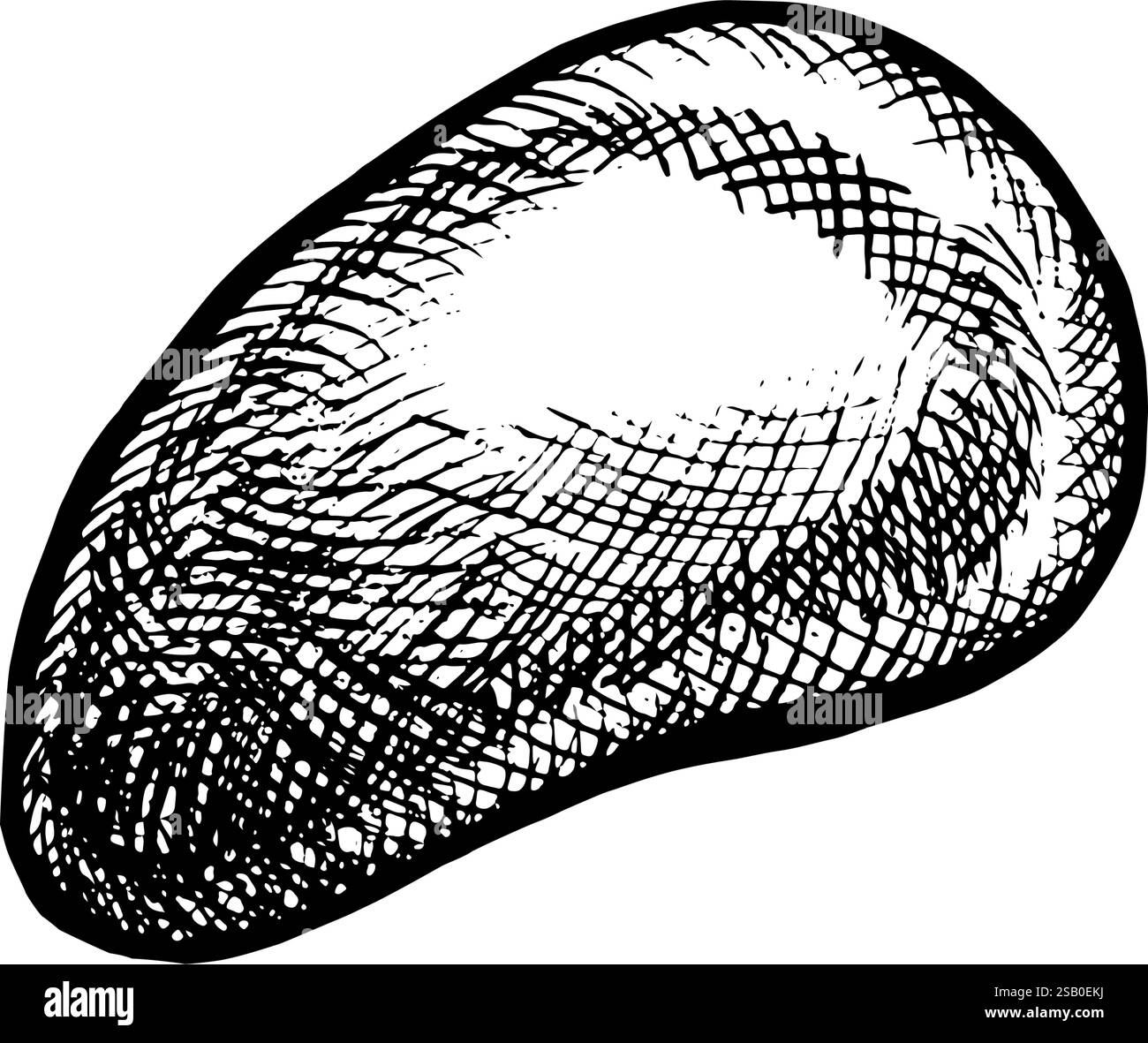 La pietra marina. Illustrazione vettoriale disegnata a mano. Immagine in bianco e nero dell'elemento spiaggia. Separato dallo sfondo. Perfetto per imballaggi ed etichette Illustrazione Vettoriale