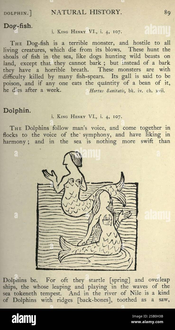 Natural history in Shakespeare's Time London, E. Stock, 1896., la pagina presenta una rappresentazione visiva di un pesce cane e un delfino, accompagnato da un testo di un riferimento di storia naturale. La sezione evidenzia il pesce gatto come una feroce creatura conosciuta per la sua abilità di caccia, contrastando il suo approccio con quello delle sue prede. Inoltre, il testo discute i delfini, enfatizzando la loro comunicazione attraverso il suono e il loro comportamento sociale, illustrando un senso di armonia nell'acqua. L'illustrazione cattura le forme distinte di entrambi gli animali marini, concentrandosi sulle loro caratteristiche anatomiche. Foto Stock