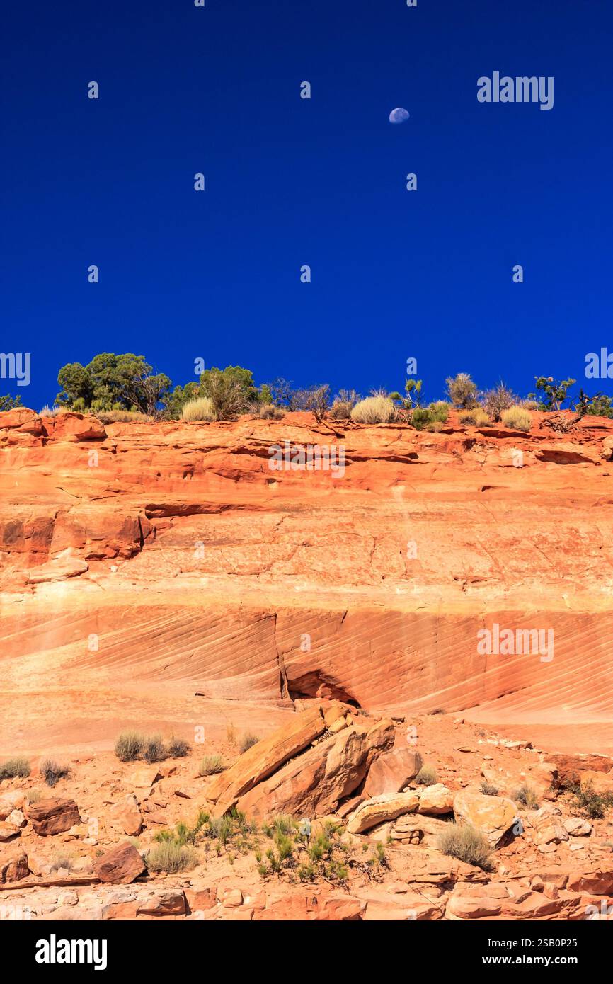 Una collina rocciosa con un albero in primo piano e una grande luna nel cielo. La luna si trova nell'angolo superiore destro dell'immagine Foto Stock