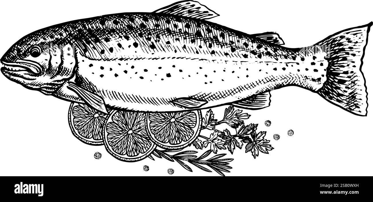 Trota con limone ed erbe aromatiche. Un'illustrazione grafica vettoriale disegnata a mano. Immagine in bianco e nero dei frutti di mare. Separato dallo sfondo. Perfetto per il menu Illustrazione Vettoriale