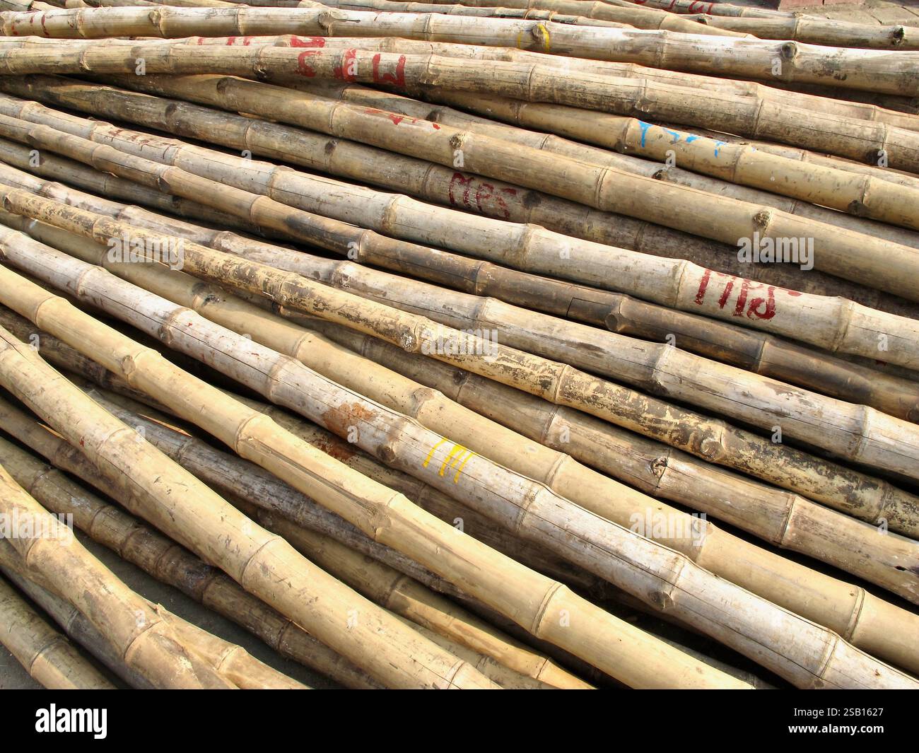 Pali di bambù impilati utilizzati per impalcature a Dacca, Bangladesh, un materiale da costruzione comune grazie alla sua convenienza e sostenibilità. Foto Stock
