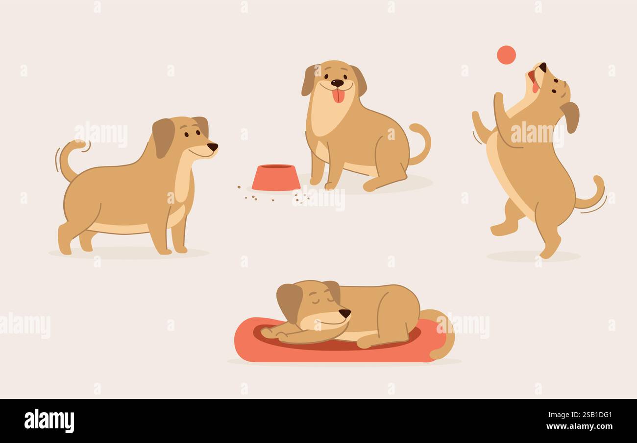 Simpatico set per attività con cani, routine quotidiana con cani. Un cucciolo divertente sta dormendo, giocando a palla, mangiando il suo cibo. Set di vettori piatti Illustrazione Vettoriale