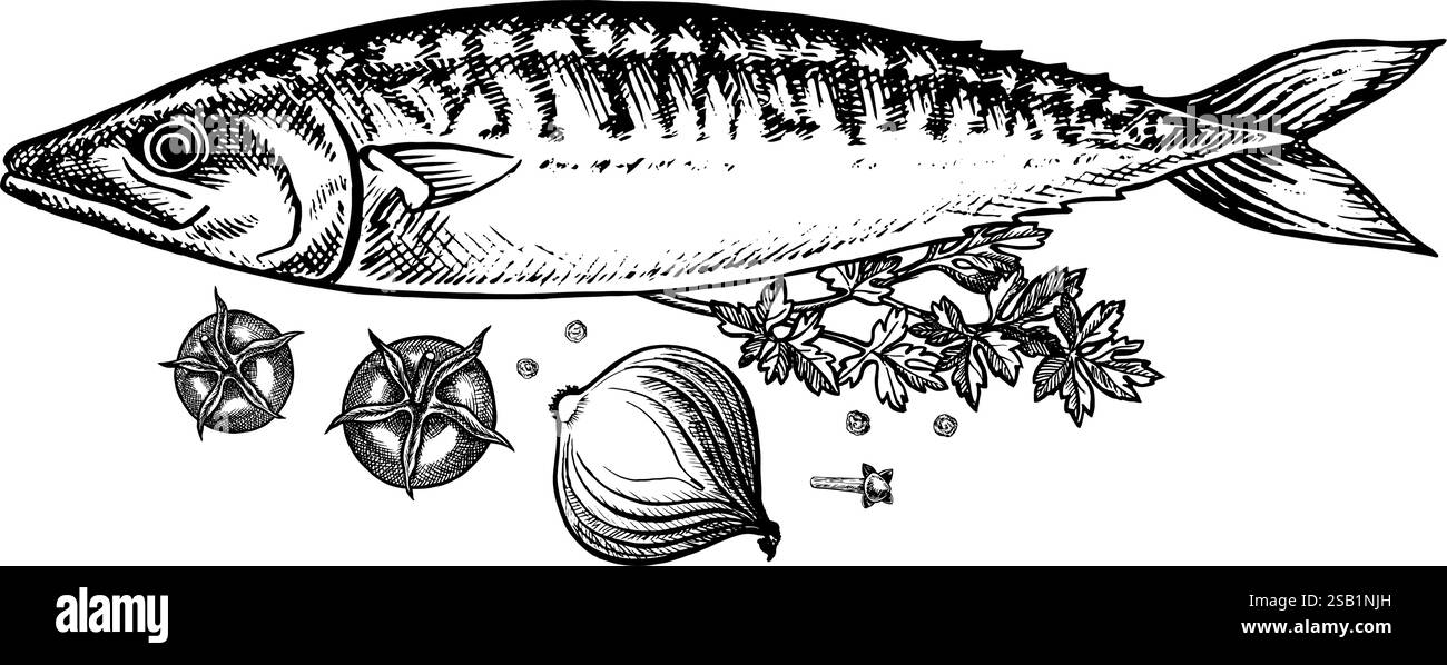 Sgombro con erbe e verdure. Un'illustrazione grafica vettoriale disegnata a mano. Immagine in bianco e nero dei frutti di mare. Separato dallo sfondo. Per il menu Illustrazione Vettoriale
