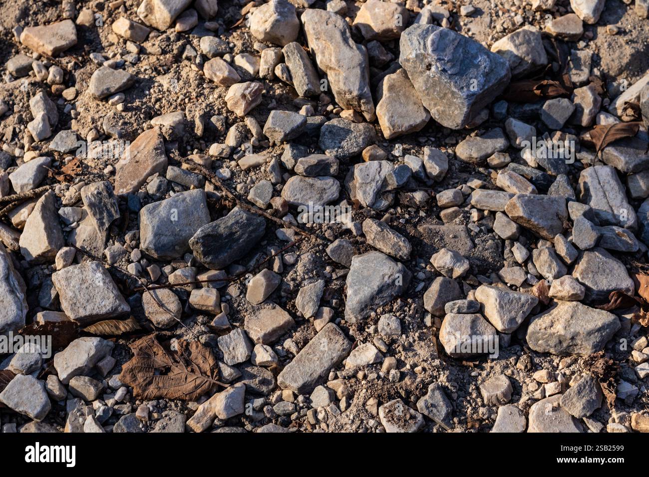 Un sentiero sassoso disseminato di foglie essiccate sotto la calda luce del sole, che cattura il fascino rustico di un sentiero all'aperto Foto Stock