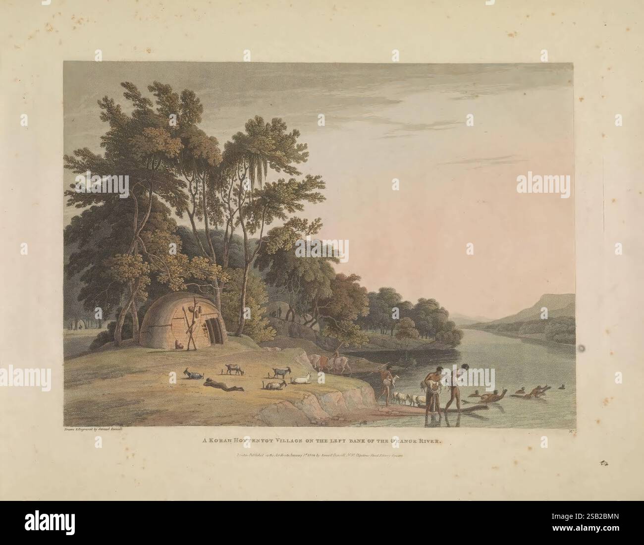 African, Scenarios, and, Animals, Londra, 1804-05, Africa, meridionale, naturale, storia, pittorico, opere, zoologia, la scena raffigura un tranquillo momento lungo il fiume che mostra un villaggio di Korai Hottentot situato sulla riva sinistra del fiume Orange. In primo piano, gli abitanti del villaggio sono impegnati in varie attività, tra cui due individui vicino all'acqua, uno in posizione accovacciata. E' visibile una struttura piu' grande che assomiglia ad una tradizionale capanna, circondata da alberi lussureggianti, che donano un senso di tranquillita' all'ambiente. Animali, possibilmente bestiame, sono visti nelle vicinanze, contribuendo all'atmosfera rurale. Il riv Foto Stock