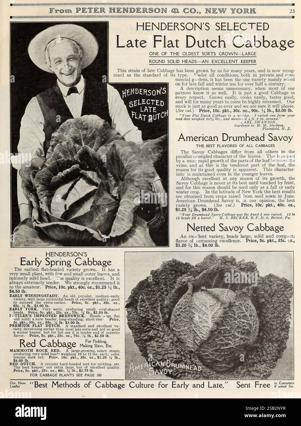 Tutto per il giardino. New York, Peter Henderson & Co, c1915, fiori, giardinaggio, libri, sementi, cataloghi, tosaerba, attrezzature e forniture, bulbi, piante, storie di giardini, in fiore, l'immagine mostra una pubblicità per varietà di cavoli di Peter Henderson & Co., evidenziando il "Late Flat Dutch Cabbage" come una delle teste più vecchie e grandi disponibili. Un contadino allegro, che indossa un cappello e un grembiule, mostra con orgoglio un'enorme testa di cavolo, sottolineandone la qualità. Nell'illustrazione principale sono riportate le descrizioni dei vari tipi di cavolo offerti, tra cui "Henderson's Early SPR Foto Stock