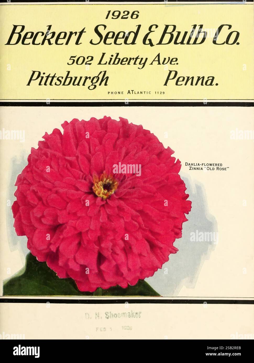 Beckert Seed & Bulb Co, Pittsburgh, Pennsylvania, Beckert's Seed Store, 1924, beckertseedbulbco, bulbi, piante, cataloghi, fiori, giardinaggio, erba, vivai, orticoltura, vivai, Pennsylvania, Pittsburgh, semi, giardini, Dahlia fiorito Zinnia, Old Rose, Zinnia elegans, Dahlia fiorito Zinnia, Un vivace fiore di zinnia, etichettato come "Old Rose" di Zinnia fiorito di Dahlia, occupa il centro del palcoscenico su uno sfondo dal design elegante. Il testo mostra in modo prominente il nome "Beckert Seed & Bulb Co." insieme all'indirizzo della società al 502 Liberty Ave., Pittsburgh, Pennsylvania, sottolineando il suo lon Foto Stock