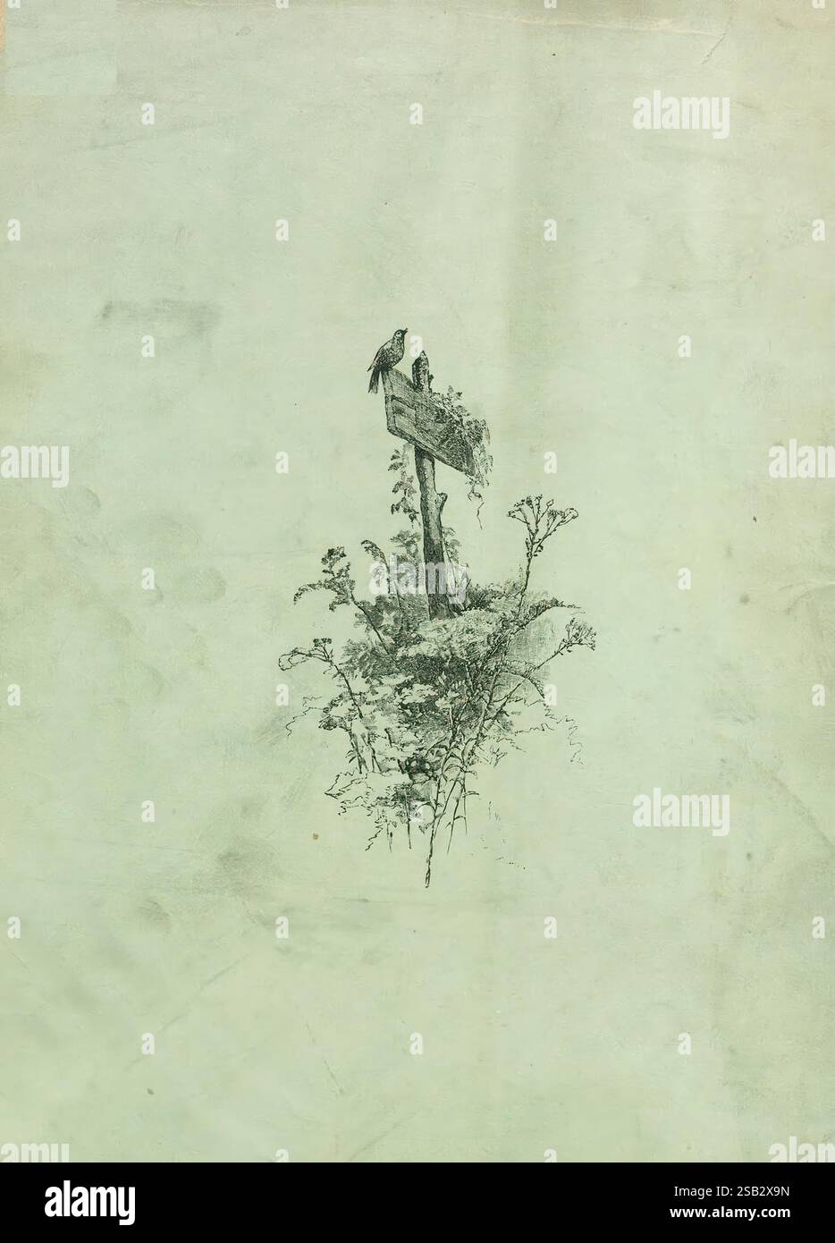 Catalogo prezzi per Pittsburgh, Pa, B.A. Elliott Co, Fiori, Pennsylvania, rosa, semi, Pittsburgh, gladiolus, cataloghi, piante perenni, arbusti fioriti, nido vivaistico, orticoltura vivaistica, Elliott B.A. Company, le storie del giardino, in fiore, Sono caratterizzate da un cartello in legno intemprato circondato da un delicato fogliame. Appollaiati in cima al cartello ci sono due piccoli uccelli, che aggiungono un senso di vita e tranquillità alla composizione. Il verde circostante comprende varie piante ed erbe, creando una cornice naturale che esalta il fascino rustico dell'ambiente. L'atmosfera generale suggerisce una pace Foto Stock