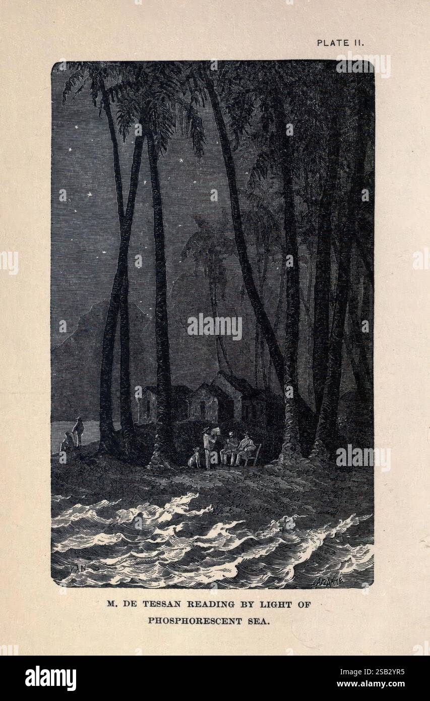 Living Lights, Londra, Sampson Low, Marston, 1887, fosforescenza, zoologia, biolo, bioluminescenza, bioluminescente, una serena scena notturna raffigura un paesaggio costiero illuminato dal delicato bagliore delle onde fosforescenti. In primo piano, le figure possono essere viste impegnate in varie attività vicino al bordo dell'acqua, mentre un piccolo gruppo è riunito a un tavolo, probabilmente coinvolto in conversazione o lavoro. Alte e graziose palme incorniciano la composizione, le loro silhouette contrastano con il cielo stellato. Sullo sfondo, strutture modeste suggeriscono un insediamento nelle vicinanze, aggiungendo un senso di tranquillità Foto Stock