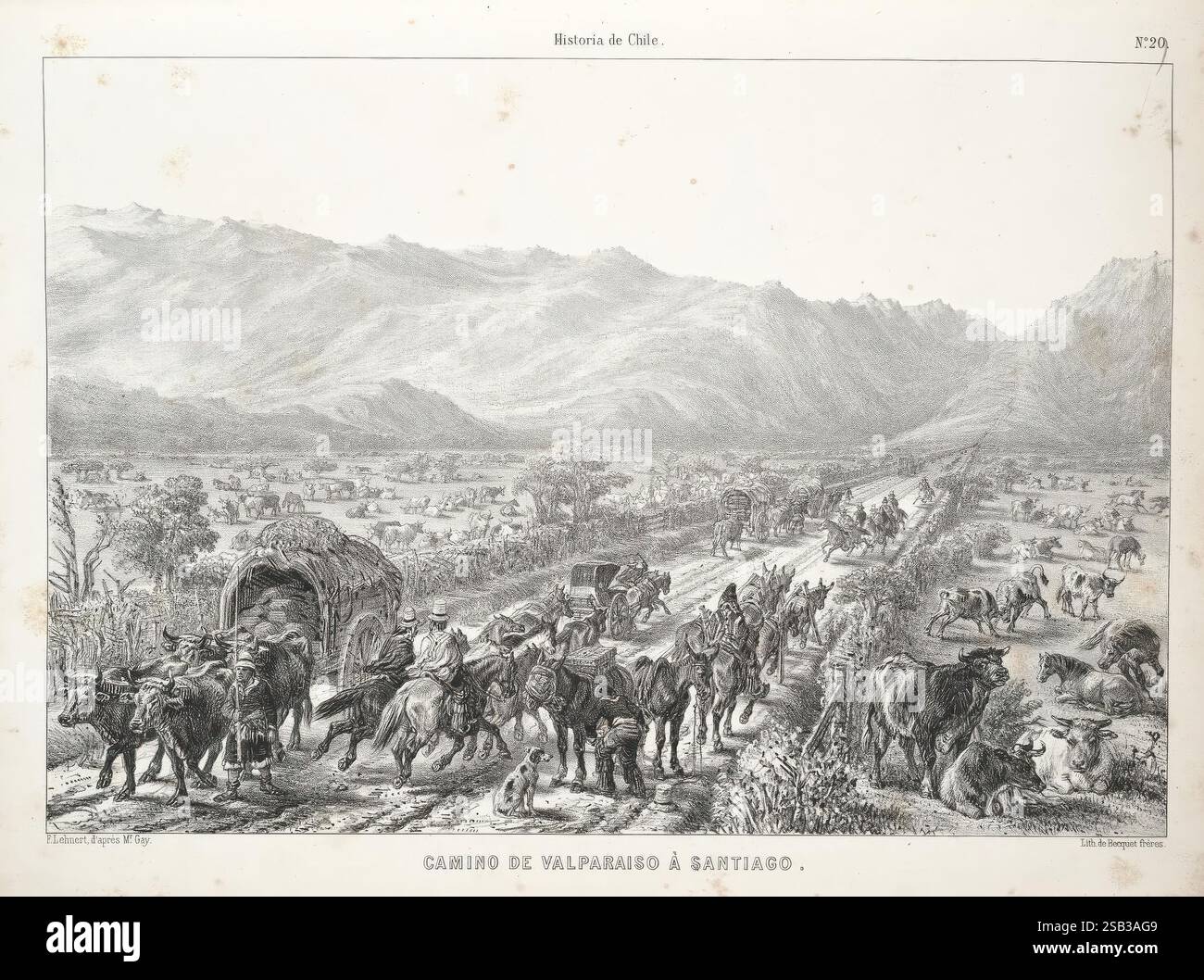 Historia fisica y politica de Chile segun documentos adquiridos en esta republica durante doce anos de residencia en ella y publicada bajo los auspicios del supremo gobierno. Parigi, Cile, en el Museo de historia Natural de Santiago, EN casa del Autor 1844-71. Cile, piante, storia, storia naturale, agricoltura, zoologia, fonti, politica e governo. la scena raffigura un paesaggio vivace lungo il percorso da Valparaíso a Santiago, caratterizzato da un convoglio di animali da branco e carri che attraversano un ambiente rurale. In primo piano, un gruppo di buoi tira un grande carro, mentre diversi Foto Stock