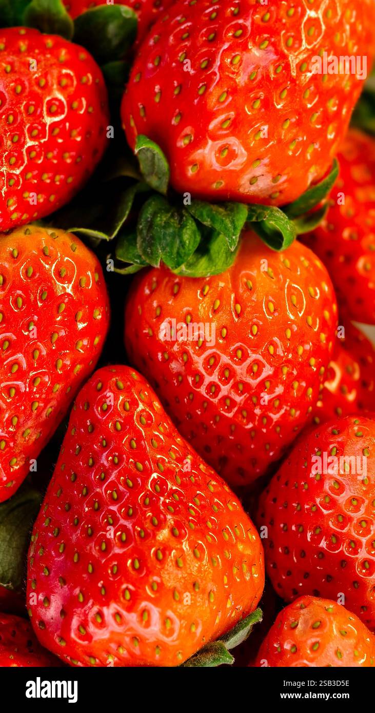 Foto macro di fragole fresche mature che creano uno sfondo vivace e succoso. Primo piano dettagliato della consistenza delle fragole, dei semi e della superficie, ideale per il cibo, mangiare sano, temi estivi e prodotti biologici. Foto Stock