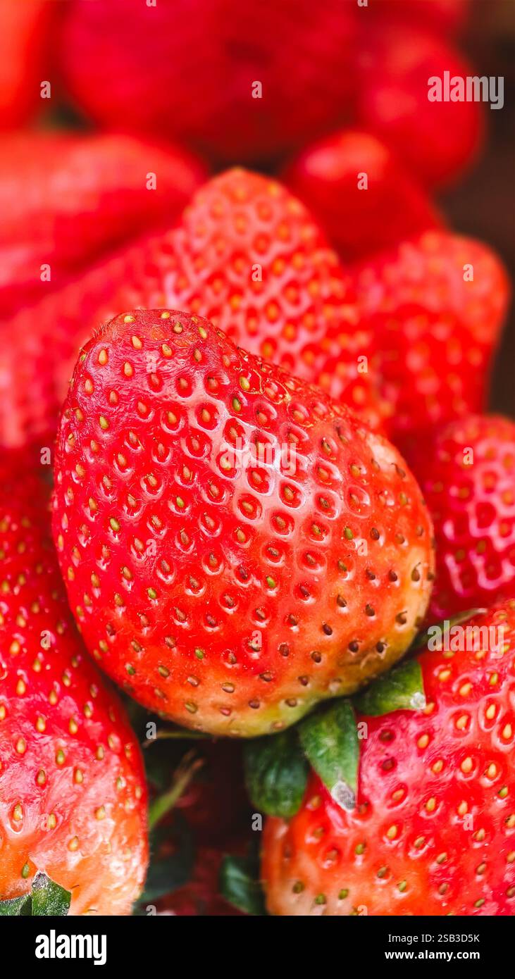 Foto macro di fragole fresche mature che creano uno sfondo vivace e succoso. Primo piano dettagliato della consistenza delle fragole, dei semi e della superficie Foto Stock