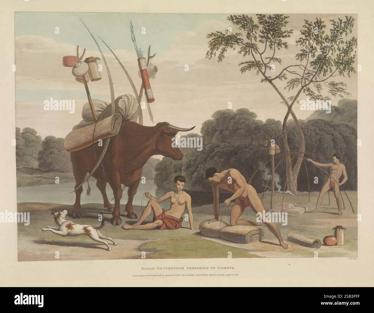 African, Scenarios, and, Animals, Londra, 1804-05, Africa, meridionale, naturale, storia, pittorico, opere, zoologia, la scena raffigura un ambiente rurale in cui un gruppo di individui si impegna in varie attività agricole. In primo piano, due uomini stanno preparando i materiali: Uno si siede a terra, si concentra sulla sagomatura di un fascio, mentre l'altro si appoggia, eventualmente esaminando strumenti o forniture. Nelle vicinanze, una mucca, che simboleggia il bestiame e la vita agricola, si erge pazientemente, con il retro carico di merci. Un cane riposa accanto agli uomini, aggiungendo un'atmosfera casalinga. Sullo sfondo, alcune cifre sono viste Wo Foto Stock
