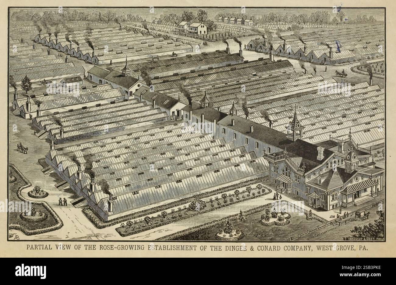 La nuova guida alla cultura delle rose, West Grove, Pa, The Dingee & Conard Co, 1881, fiori, rose, semi, cataloghi, vivai, vivai, orticoltura, cataloghi commerciali, Dingee Conard Co., storie di giardini, un'intricata illustrazione che mostra una vista a volo d'uccello di una grande struttura che cresce rose, con file meticolosamente disposte di cespugli di rose. Il layout mette in evidenza serre, strutture di stoccaggio e aree di coltivazione, tutte progettate per supportare la coltivazione e la raccolta delle rose. Intorno alla struttura principale, ci sono giardini paesaggistici che esaltano il fascino estetico del sito. De Foto Stock