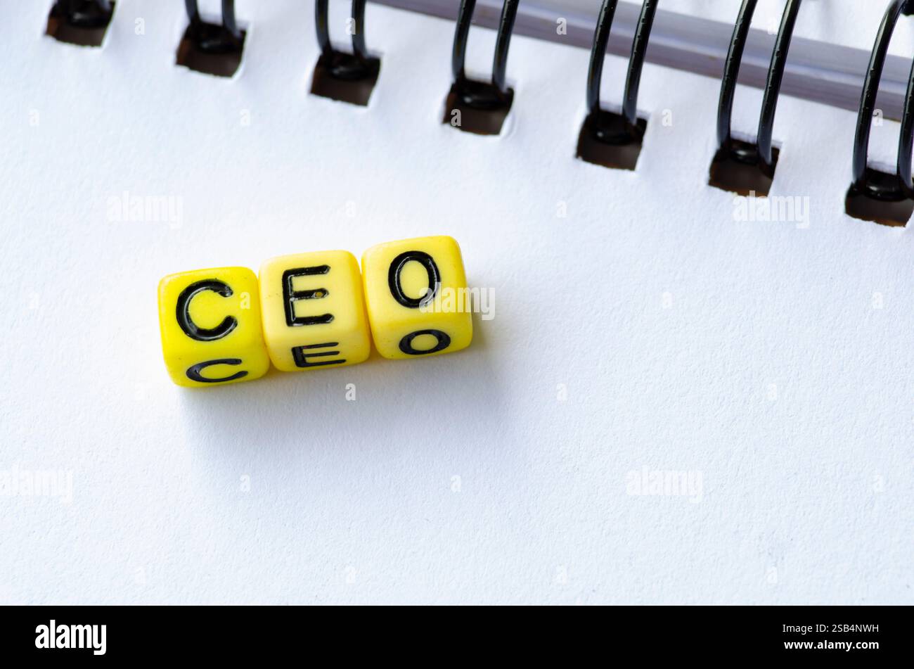 Testo del CEO su colorate perline alfabetiche in plastica che rappresentano il Chief Executive Officer. Foto Stock