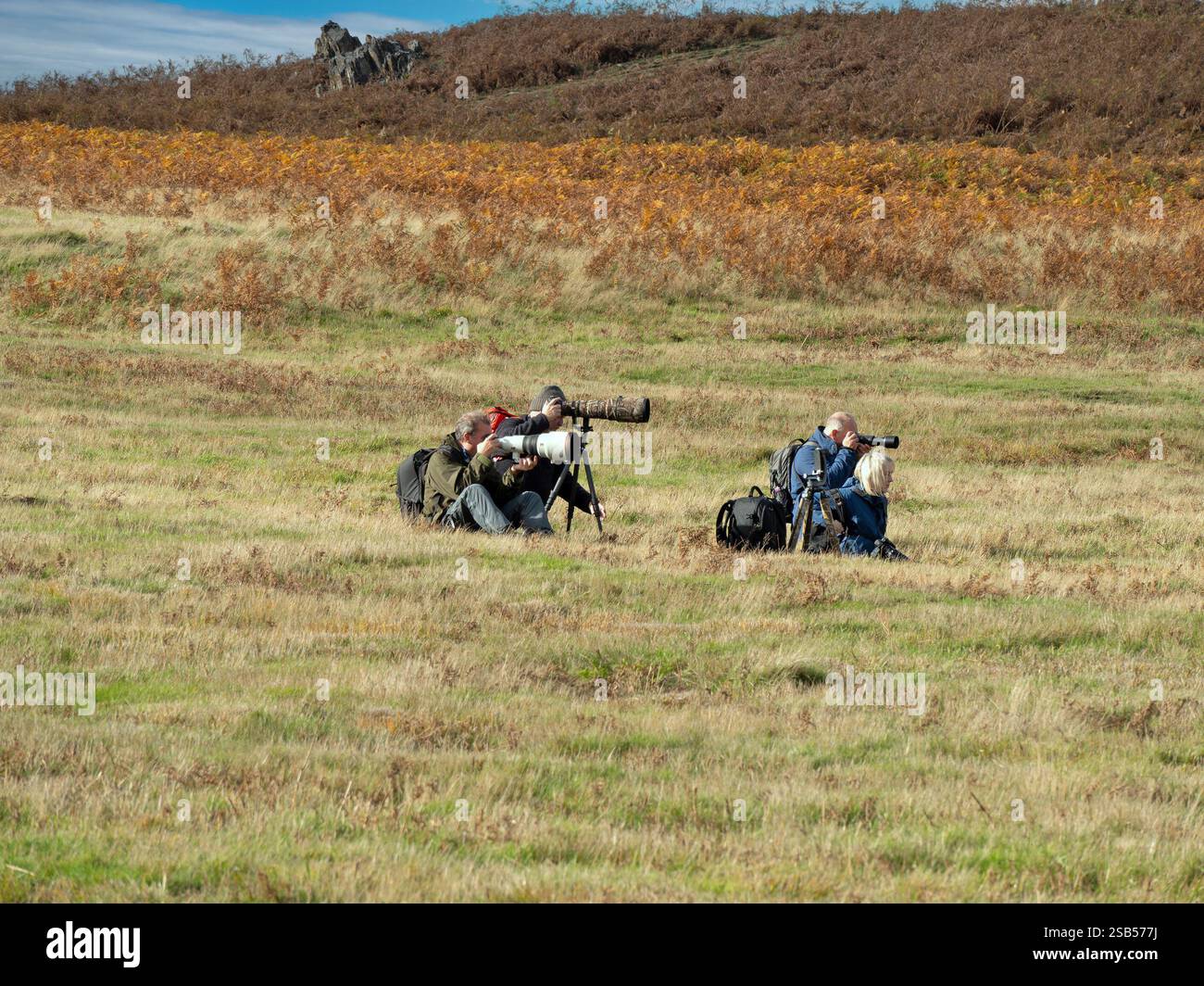 Un gruppo misto di fotografi della fauna selvatica con fotocamere, cavalletti e lenti lunghe che fotografano la fauna selvatica a Bradgate Park, Leicestershire, Inghilterra, Regno Unito Foto Stock