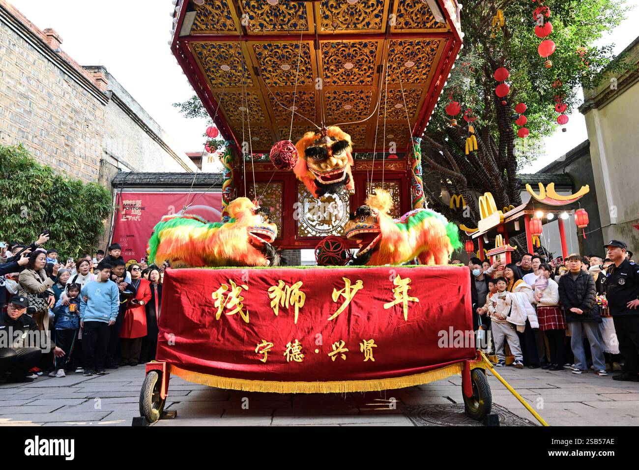 (250201) -- FUZHOU, 1 febbraio 2025 (Xinhua) -- i membri della squadra di danza del leone d'archi di Xingxian si esibiscono a Fuzhou, nella provincia di Fujian, nella Cina sud-orientale, 30 gennaio 2025. Durante il Capodanno cinese, o il Festival di primavera, un gruppo di giovani membri della squadra di danza del leone d'archi della città di Huotong, Ningde, nella provincia del Fujian, ha messo in scena una splendida performance a Fuzhou. La danza del leone d'archi di Huotong, caratterizzata dal controllo dei burattini di leone con gli archi, è un'arte popolare unica a Ningde, che è stata elencata come la prima partita di patrimonio culturale immateriale nazionale nel 2006. (Xinhua/Jiang Kehong) Foto Stock