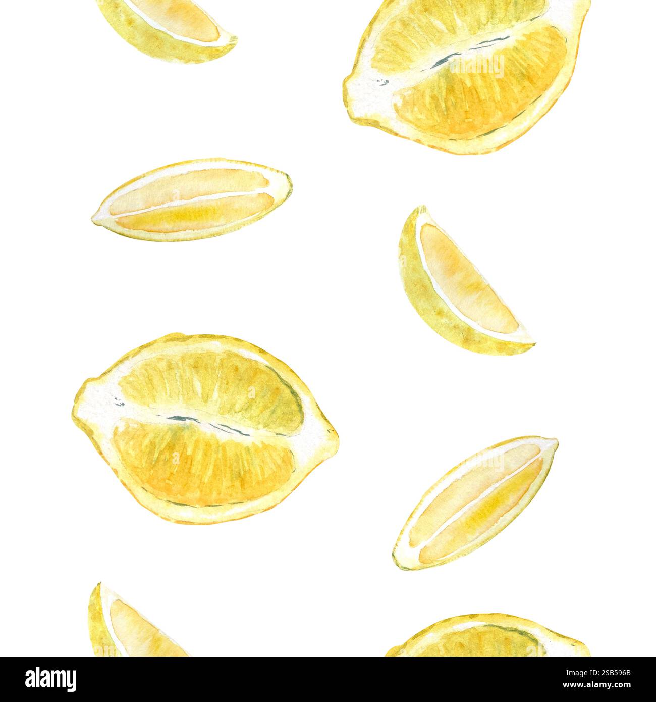 Semi di limone e due fette di acquerello bordo verticale senza cuciture isolato su bianco. Arte disegnata a mano di alta qualità per la progettazione di alimenti, ricette e libri di cucina Foto Stock