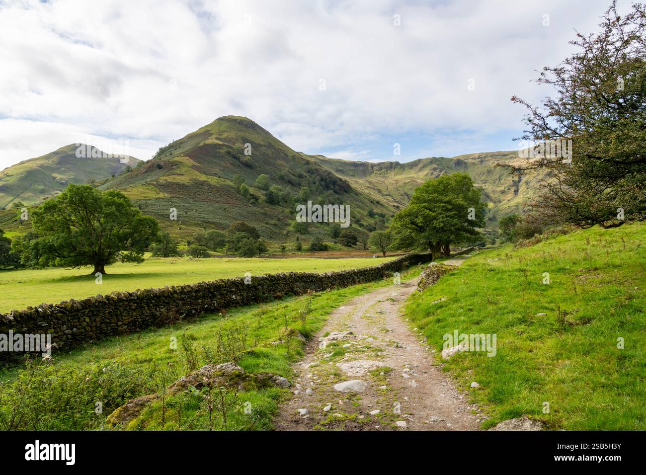 Sentiero che porta a Dovedale vicino Hartsop nel parco nazionale del Lake District, Cumbria, Inghilterra Foto Stock