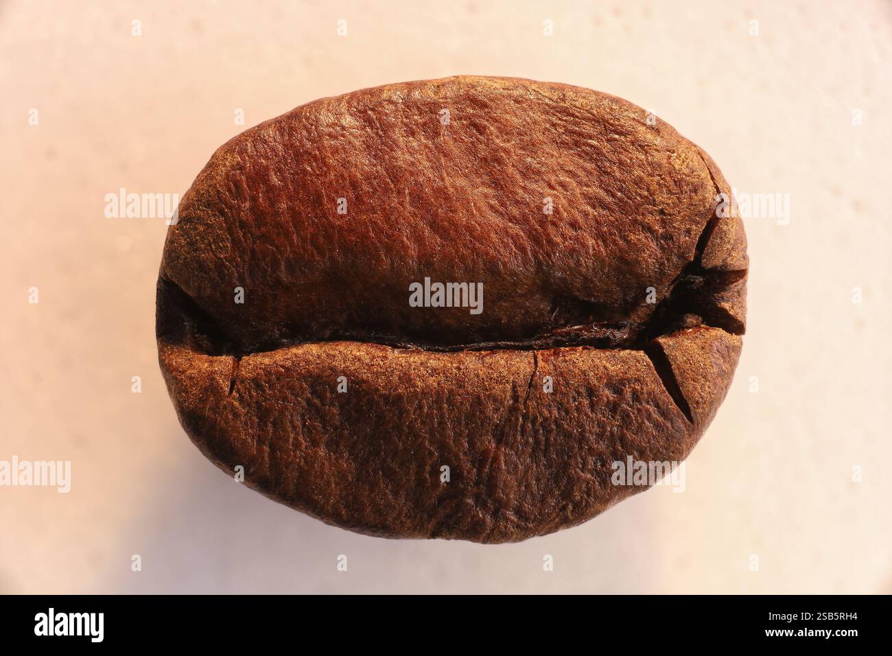 Macrofotografia di un singolo chicco di caffè tostato, con ingrandimento 3 su full frame. Maggiore profondità di campo. Foto Stock