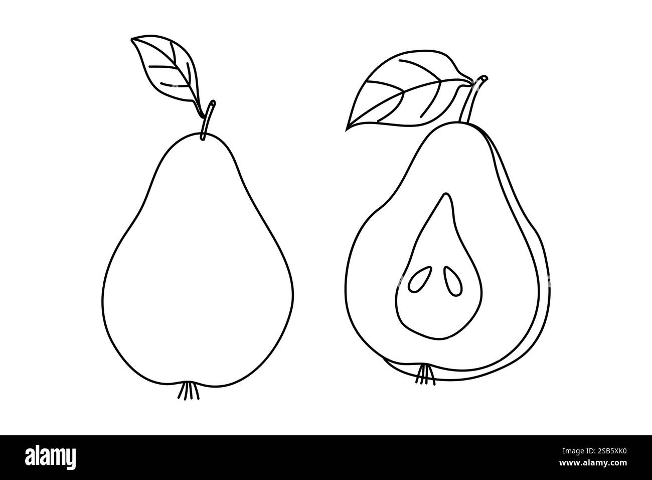 Uno schizzo dettagliato illustra una pera intera accanto a una pera tagliata, evidenziando la forma unica del frutto e la disposizione interna dei semi. Il design è tu Illustrazione Vettoriale