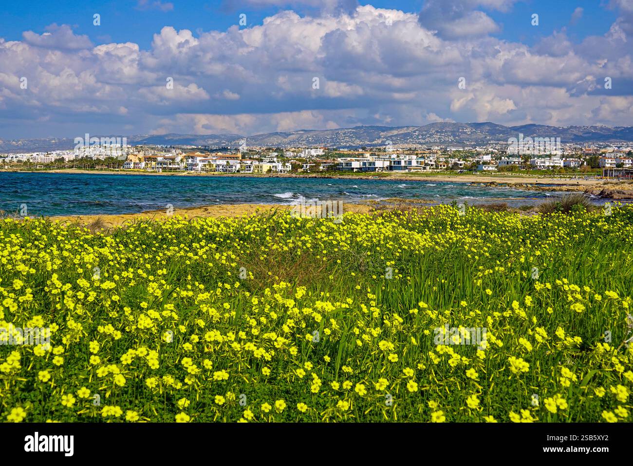 Paphos, Cipro, UE, bel tempo invernale in questa popolare destinazione turistica Foto Stock