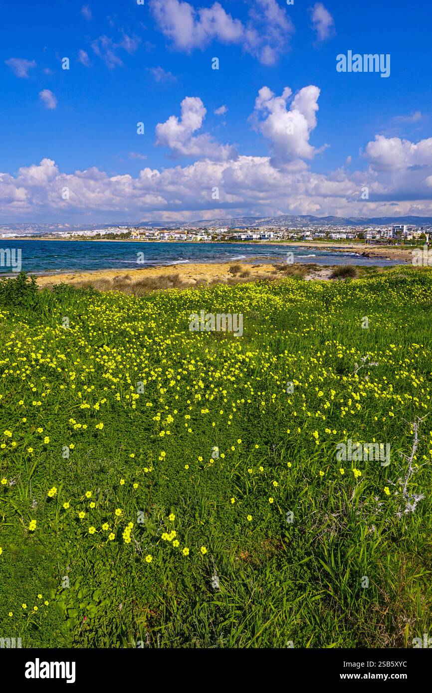 Paphos, Cipro, UE, bel tempo invernale in questa popolare destinazione turistica Foto Stock