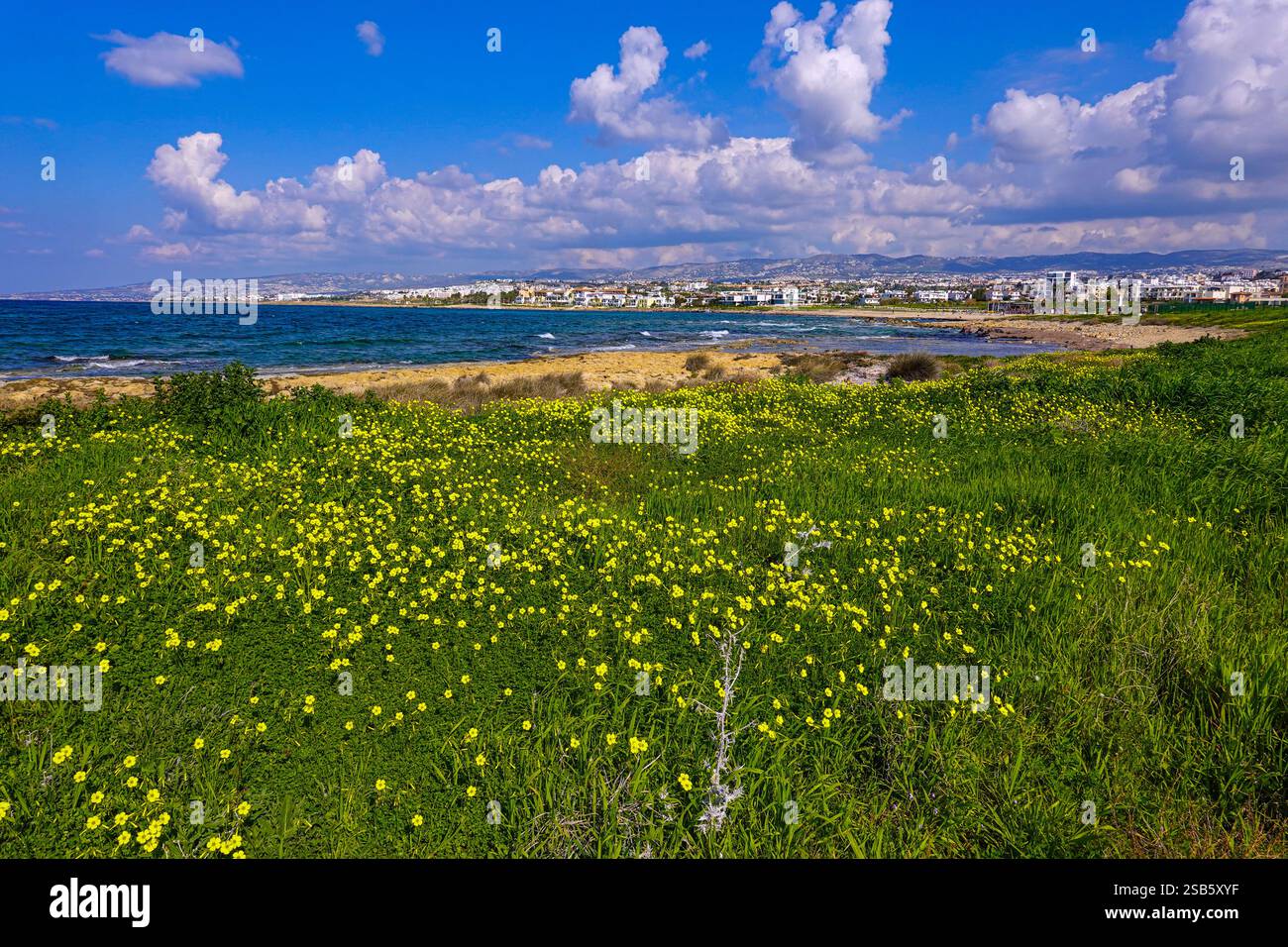 Paphos, Cipro, UE, bel tempo invernale in questa popolare destinazione turistica Foto Stock