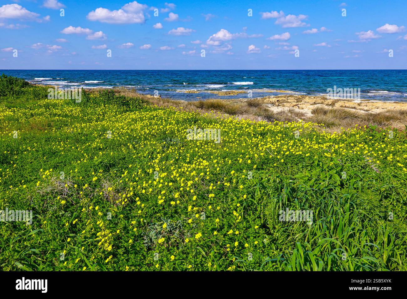 Paphos, Cipro, UE, bel tempo invernale in questa popolare destinazione turistica Foto Stock