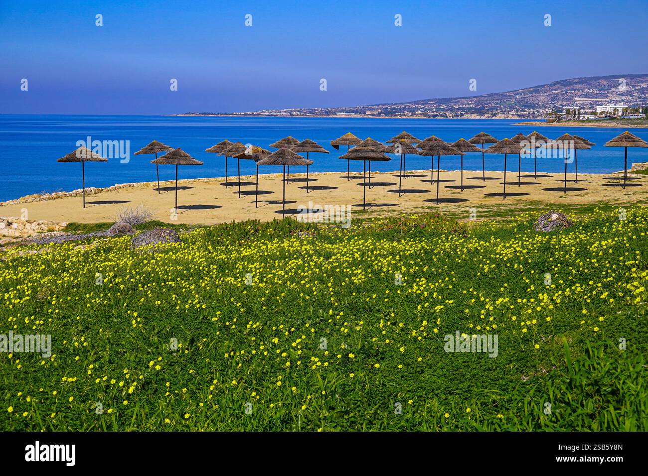 Paphos, Cipro, UE, bel tempo invernale in questa popolare destinazione turistica Foto Stock
