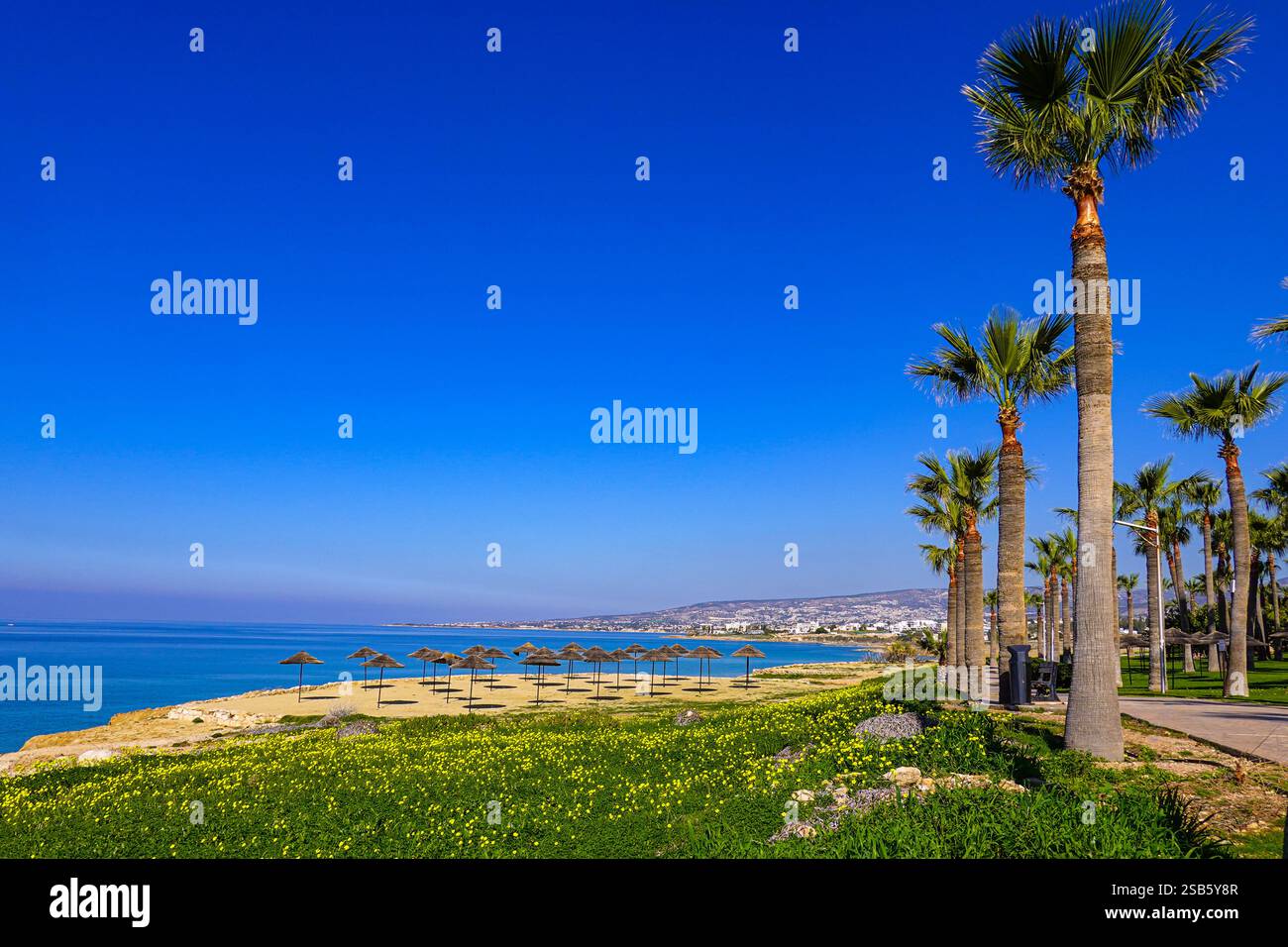 Paphos, Cipro, UE, bel tempo invernale in questa popolare destinazione turistica Foto Stock