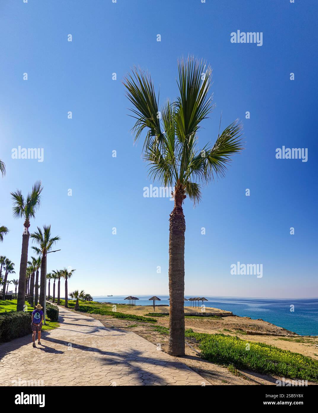 Paphos, Cipro, UE, bel tempo invernale in questa popolare destinazione turistica Foto Stock