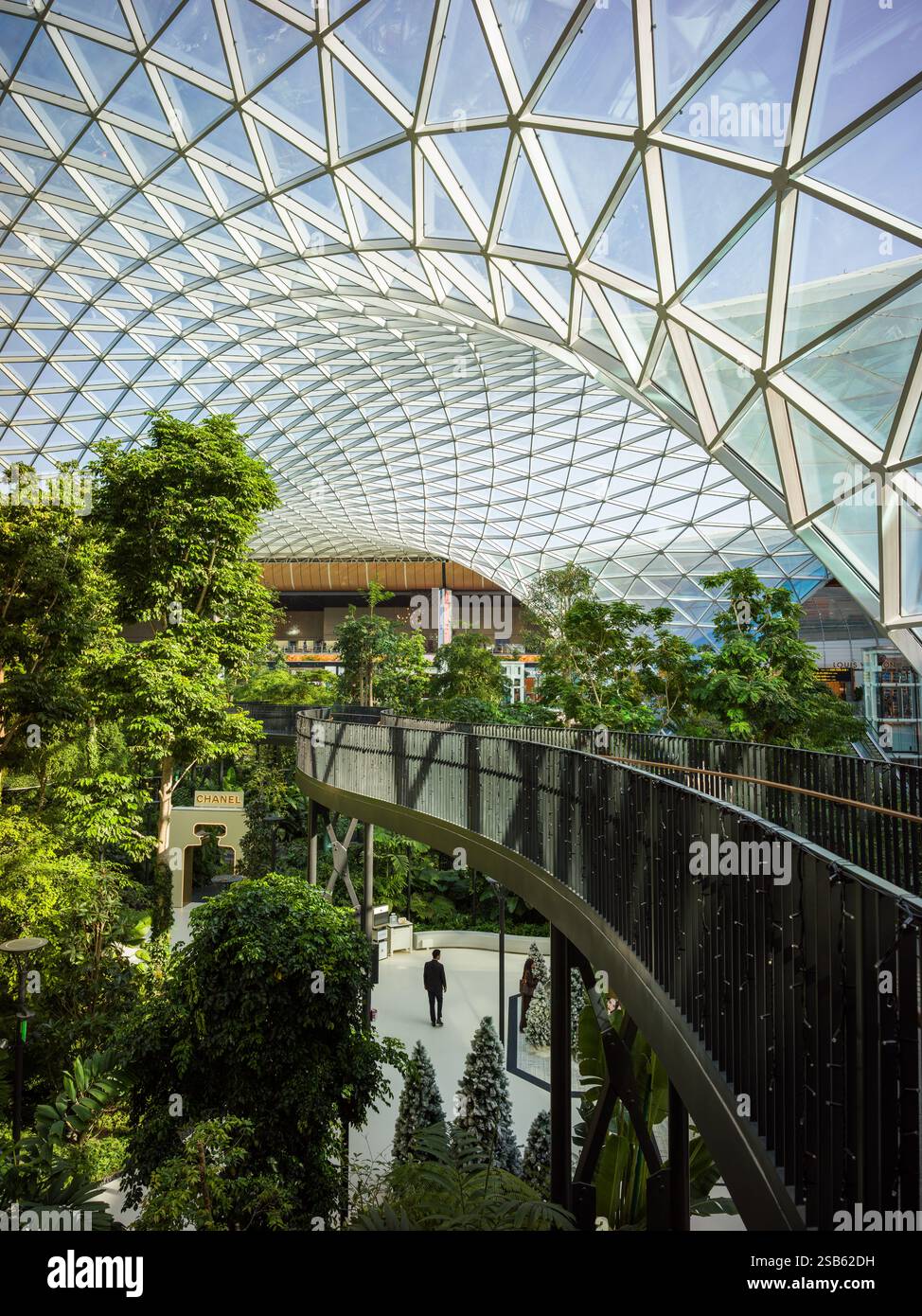 Aeroporto internazionale di Qatar Hamad interno del frutteto, interno del giardino tropicale al coperto Foto Stock