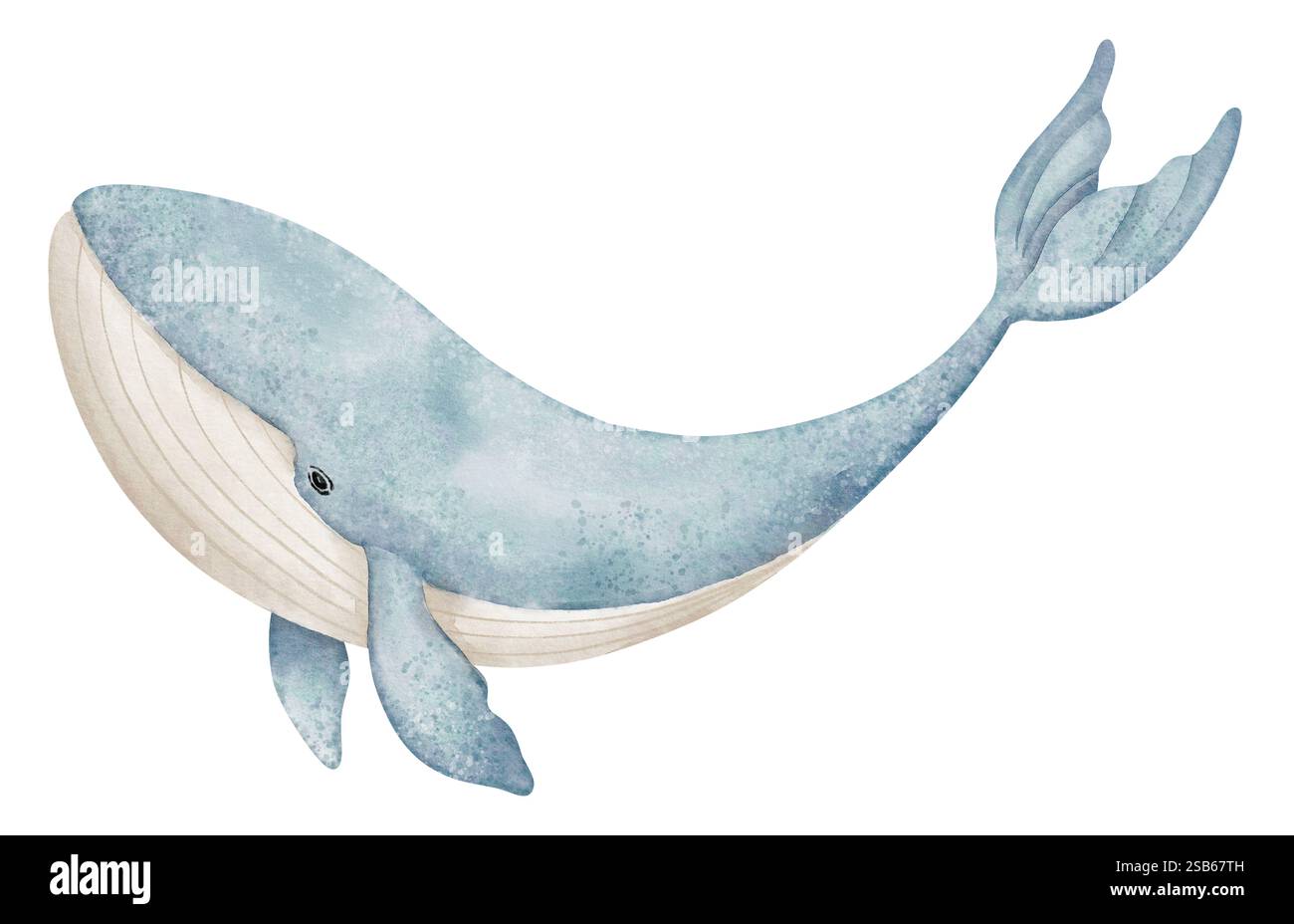 Illustrazione ad acquerello della balena nei colori blu pastello per la nursery wall art o biglietti d'auguri per bambini. Disegno di animali mammiferi subacquei per inviti alla Baby Shower o poster della stanza dei bambini. Foto Stock