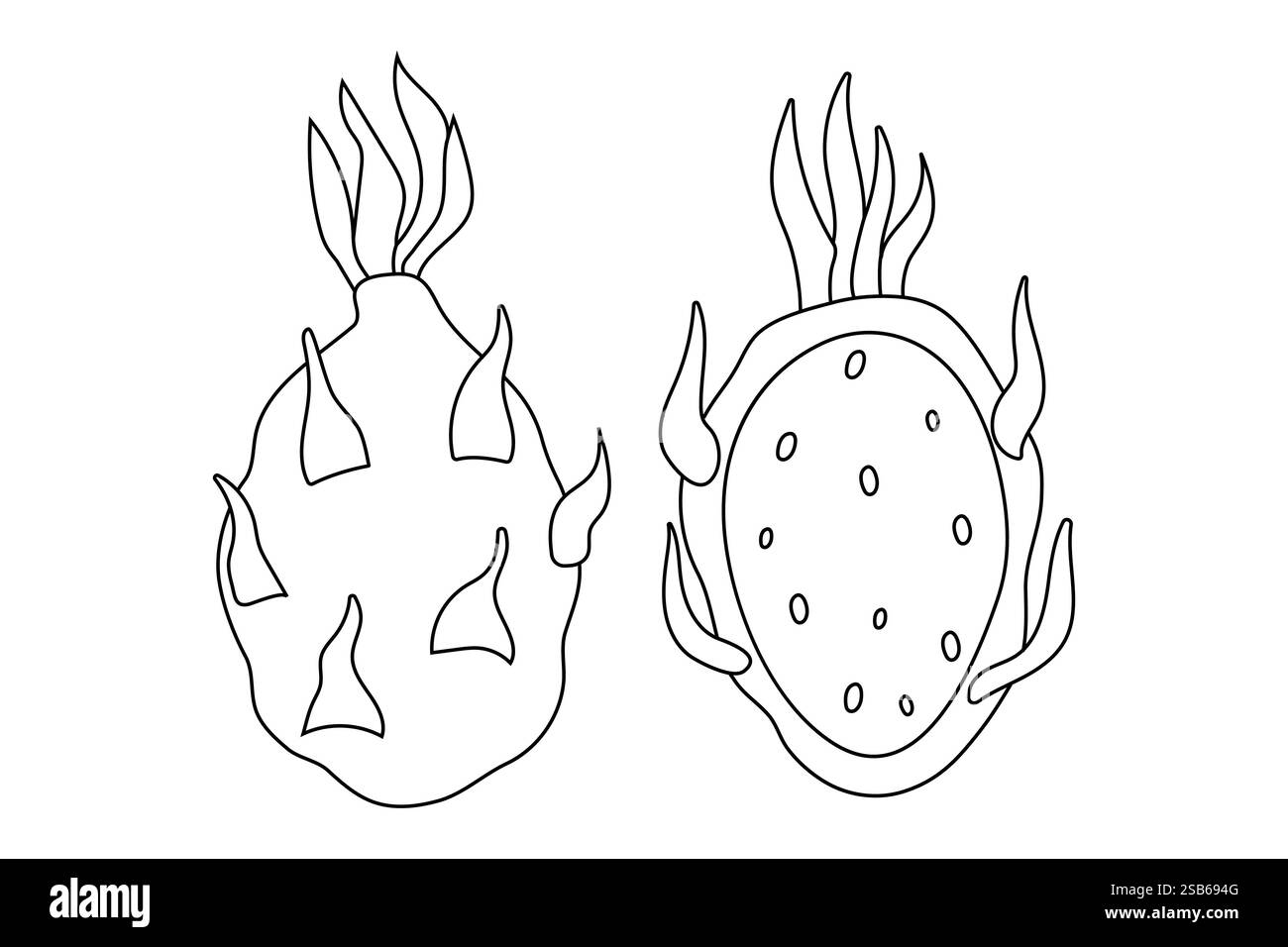 Due disegni a linee raffigurano creature marine uniche, una somiglia a una sfera piccante, mentre l'altra presenta un corpo più piatto con segni rotondi. Entrambi mostrano un Illustrazione Vettoriale