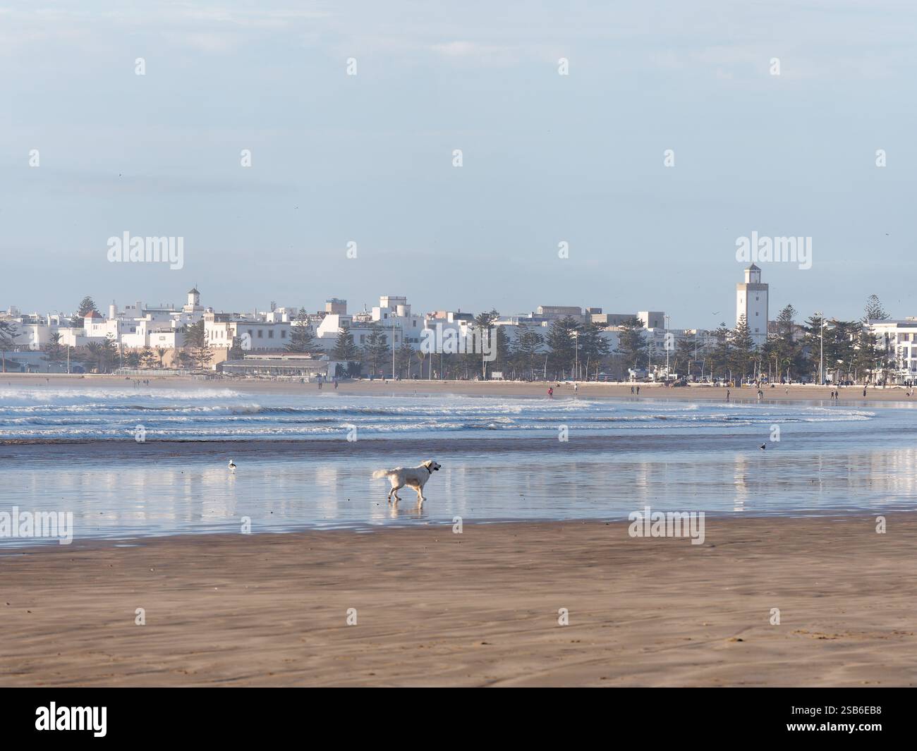 Litorale su una spiaggia sabbiosa con alle spalle la storica Medina nella città di Essaouira, dal 27 al 29 gennaio 2025 Foto Stock