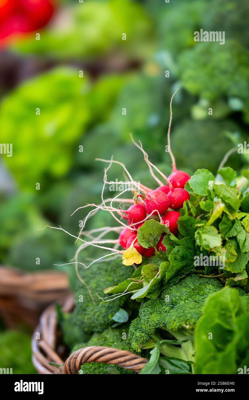 I radiaci freschi con foglie riposano in cima a una mostra di broccoli in un mercato agricolo Foto Stock