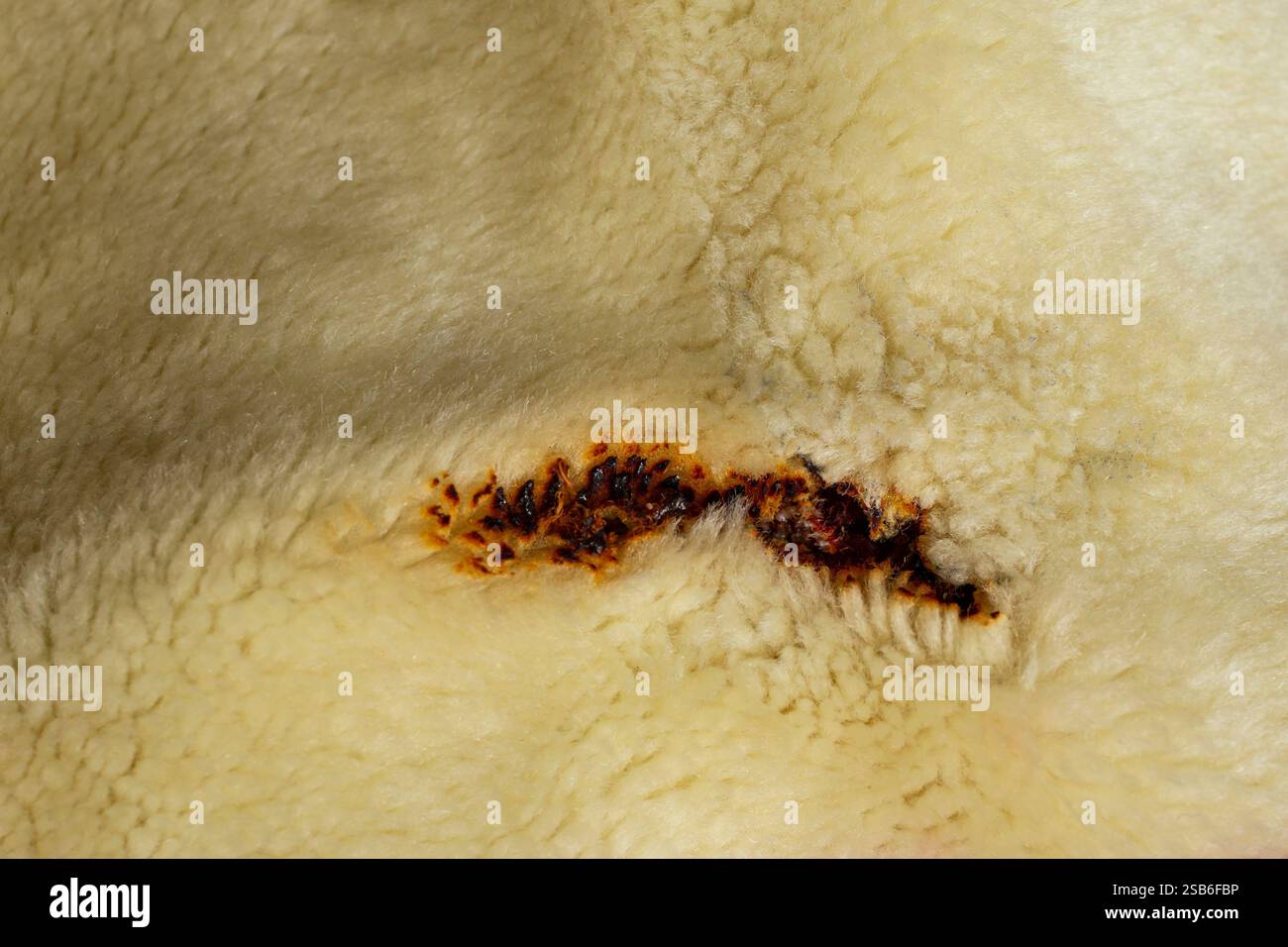 Bruciatura su una coperta in poliestere beige , concetto di rischio di incendio, messa a fuoco morbida Foto Stock