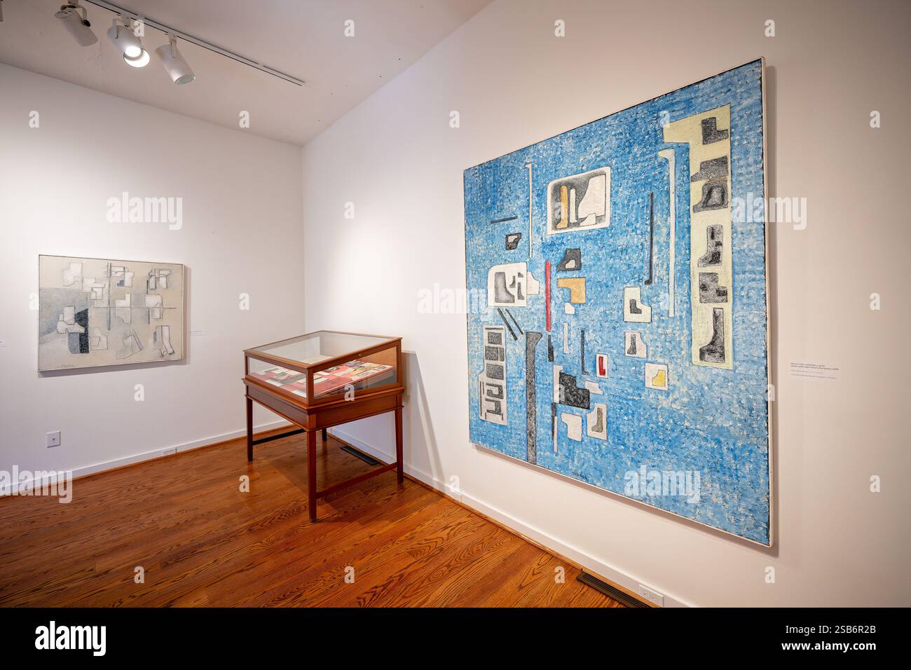 Enrique Tábara Wall with Light Blue and Grey Painting Washington DC // WASHINGTON DC — Enrique Tábara's "Wall with light Blue and Grey" (2016), un dipinto ad olio esposto al Art Museum of the Americas. L'opera fa parte della mostra "nell'era degli dei: L'impronta ancestrale di Enrique Tábara". Questo pezzo rappresenta il periodo successivo di esplorazione astratta dell'artista. Foto Stock